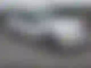 Vehicle Image- 2007 Ford Focus