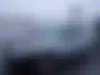 Vehicle Image- 2007 Ford Focus