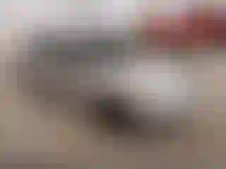 Vehicle Image- 2005 Ford Focus