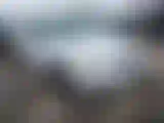 Vehicle Image- 2005 Ford Focus