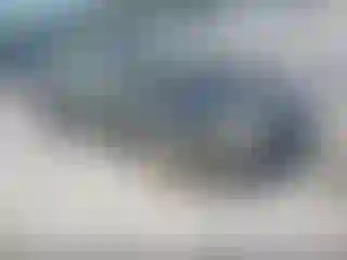 Vehicle Image- 2006 Ford Focus
