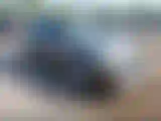 Vehicle Image- 2007 Ford Focus