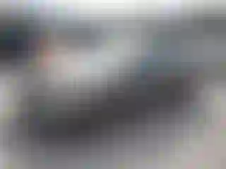 Vehicle Image- 2005 Ford Focus