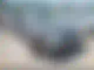 Vehicle Image- 2005 Ford Focus