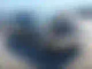 Vehicle Image- 2005 Ford Focus