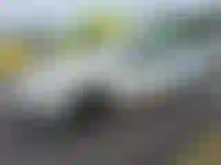 Vehicle Image- 2005 Ford Focus