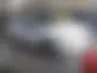 Vehicle Image- 2005 Ford Focus