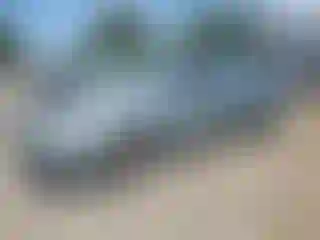 Vehicle Image- 2006 Ford Focus