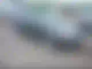 Vehicle Image- 2007 Ford Focus
