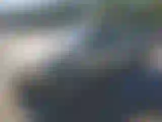 Vehicle Image- 2007 Ford Focus