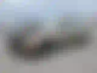 Vehicle Image- 2005 Ford Focus