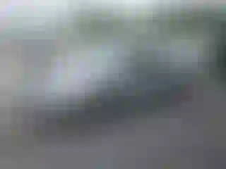Vehicle Image- 2005 Ford Focus