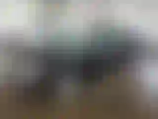 Vehicle Image- 2005 Ford Focus