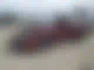 Vehicle Image- 2007 Ford Focus