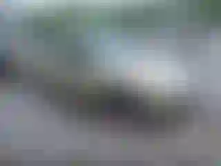 Vehicle Image- 2007 Ford Focus