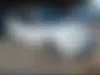 Vehicle Image- 2007 Ford Focus
