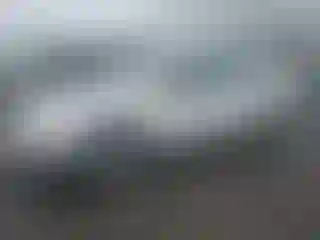 Vehicle Image- 2007 Ford Focus