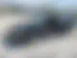 Vehicle Image- 2005 Ford Focus