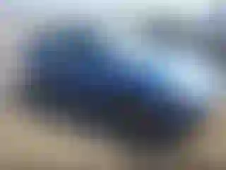 Vehicle Image- 2005 Ford Focus