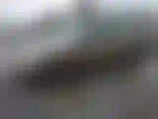 Vehicle Image- 2005 Ford Focus