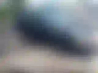 Vehicle Image- 2005 Ford Focus