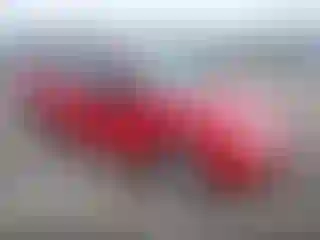 Vehicle Image- 2005 Ford Focus