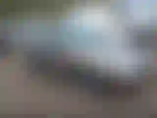 Vehicle Image- 2005 Ford Focus