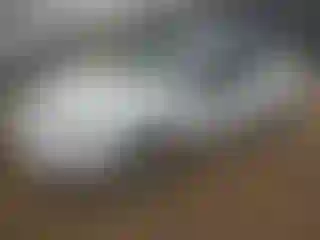 Vehicle Image- 2005 Ford Focus