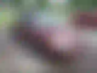 Vehicle Image- 2006 Ford Focus