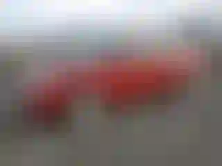 Vehicle Image- 2005 Ford Focus