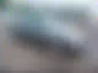Vehicle Image- 2005 Ford Focus