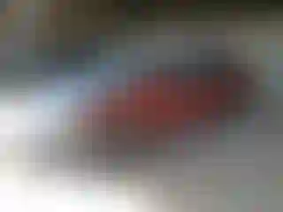 Vehicle Image- 2005 Ford Focus