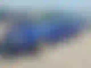 Vehicle Image- 2006 Ford Focus