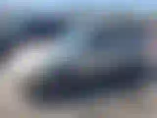 Vehicle Image- 2007 Ford Focus