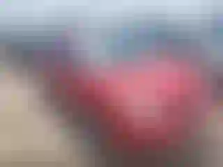 Vehicle Image- 2007 Ford Focus