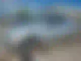 Vehicle Image- 2007 Ford Focus