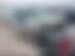Vehicle Image- 2007 Ford Focus