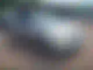 Vehicle Image- 2005 Ford Focus