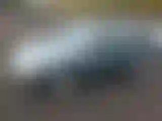 Vehicle Image- 2005 Ford Focus