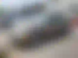 Vehicle Image- 2005 Ford Focus