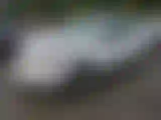 Vehicle Image- 2005 Ford Focus