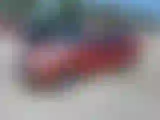 Vehicle Image- 2005 Ford Focus