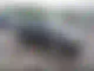Vehicle Image- 2005 Ford Focus