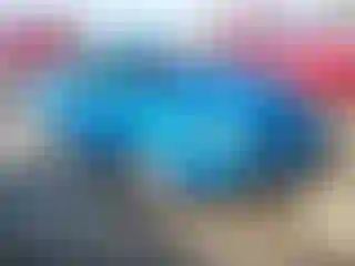Vehicle Image- 2007 Ford Focus