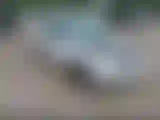 Vehicle Image- 2007 Ford Focus