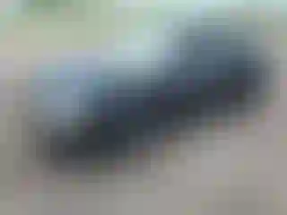 Vehicle Image- 2007 Ford Focus