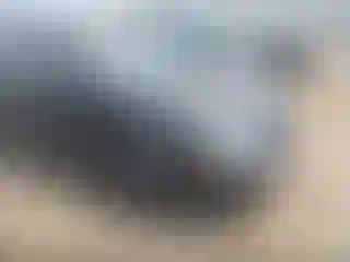 Vehicle Image- 2007 Ford Focus