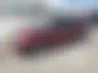 Vehicle Image- 2007 Ford Focus