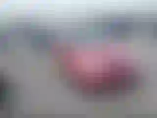 Vehicle Image- 2005 Ford Focus