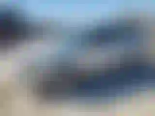 Vehicle Image- 2005 Ford Focus